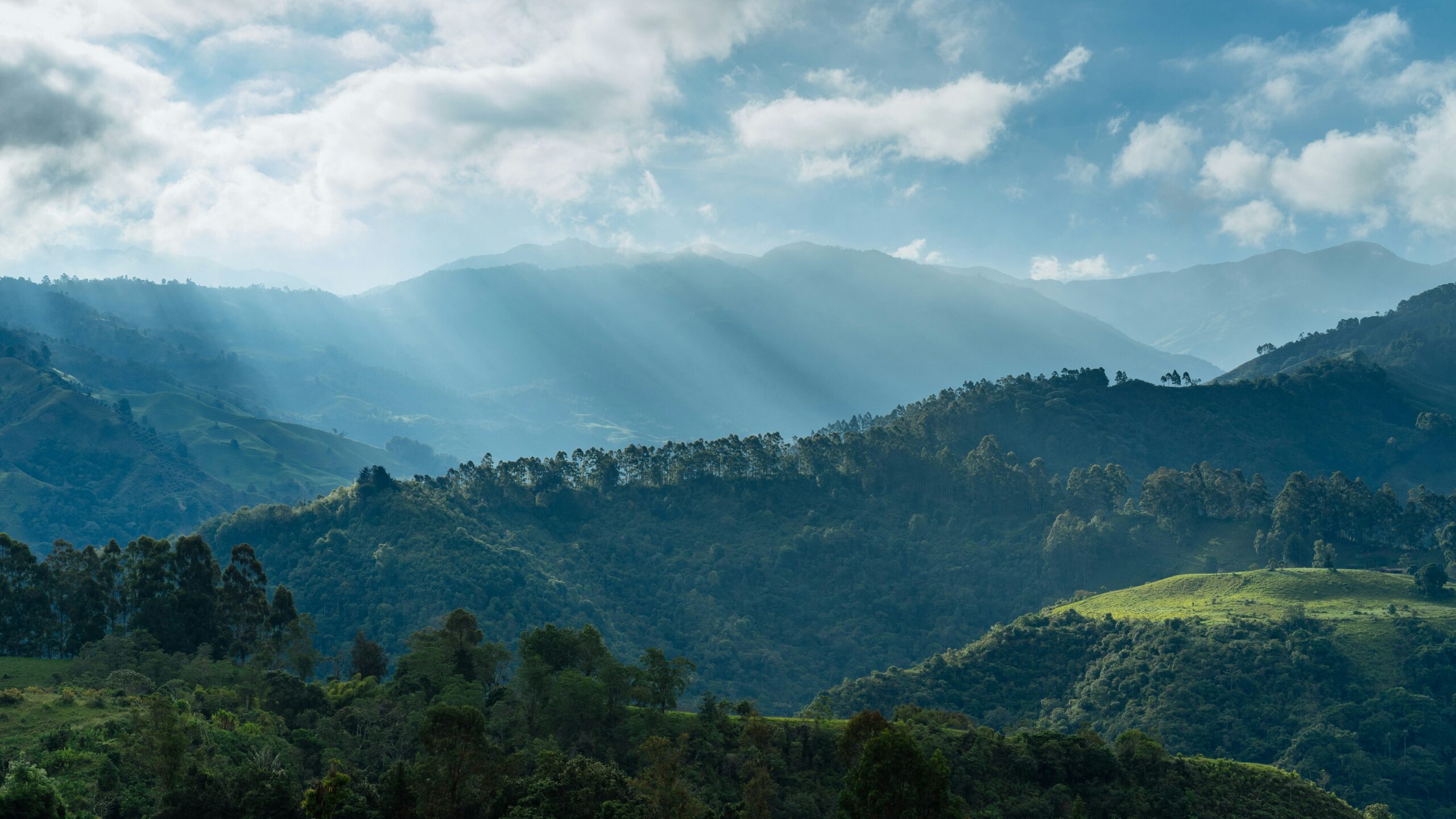 Mobilizing Private Finance for Climate and Nature: Turning Risks into Opportunities